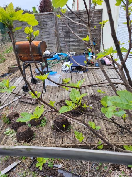 Débarras jardin nettoyage de printemps à BORDEAUX 