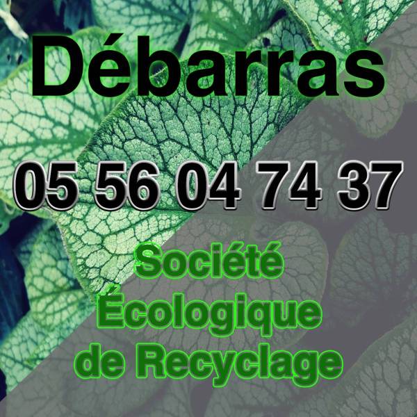 Gestion responsable des déchets à Bordeaux : une solution pratique pour les professionnels